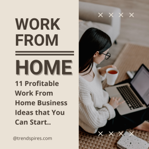 work from home business ideas for beginners starting online businesses remotely